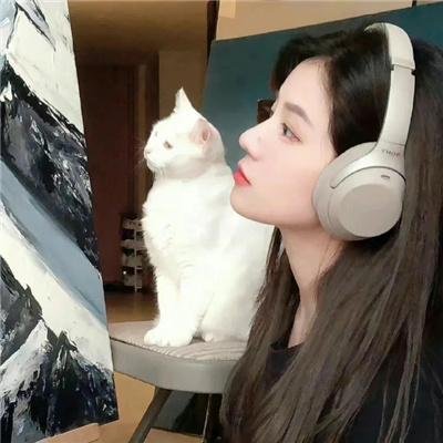 我为车狂